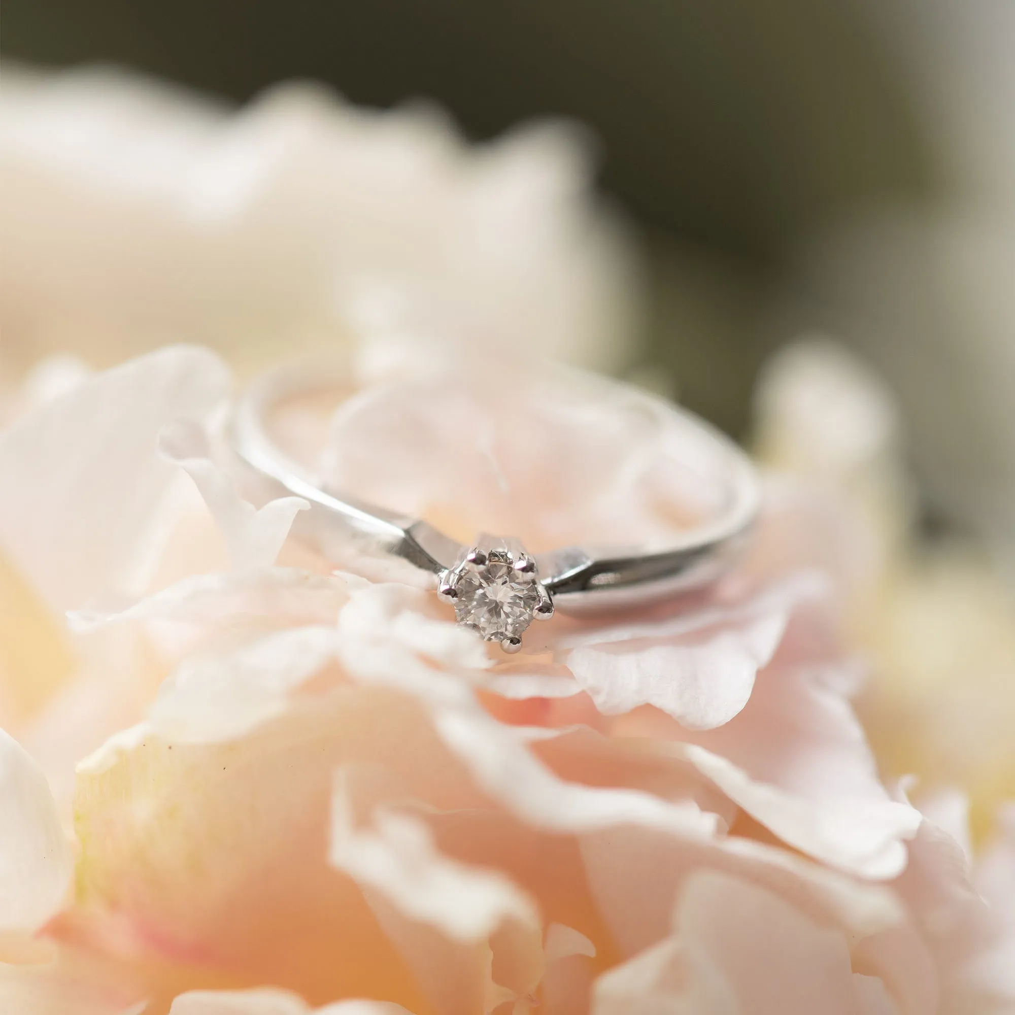 De la Paix Sybil 14 karat white gold ring with diamond 0.10 carat