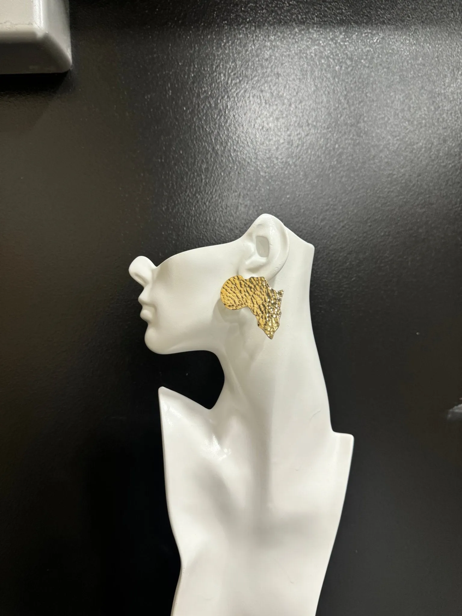 Simple Brass African Map Stud Earrings